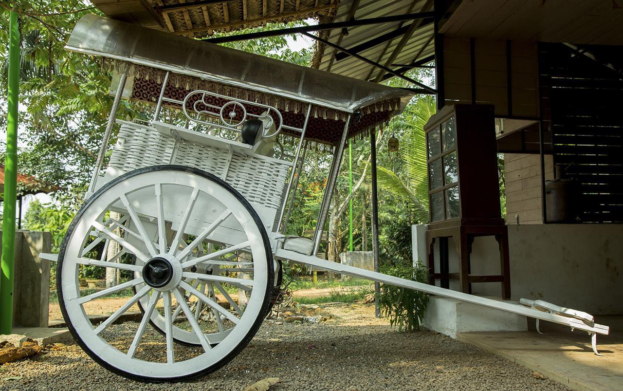 Mango Meadows Hotel Kottayam Exterior foto